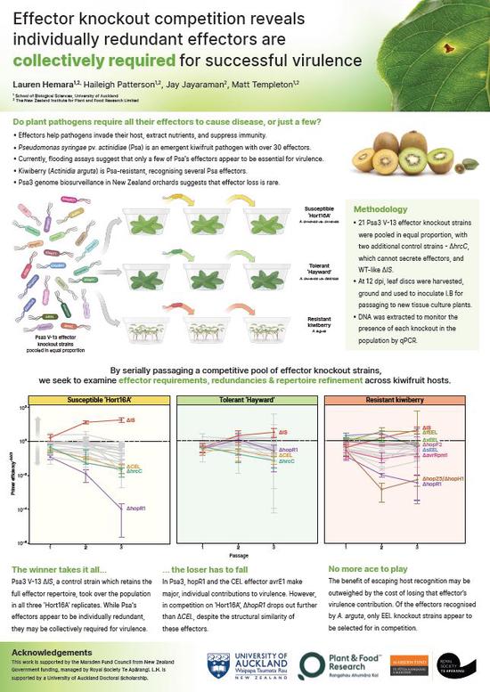 Effector knockout competition reveals individually redundant effectors are collectively required for successful virulence