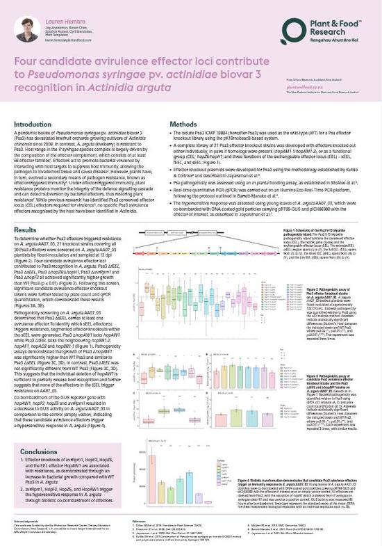 Four candidate avirulence effectors contribute to Psa3 recognition in Actinidia arguta