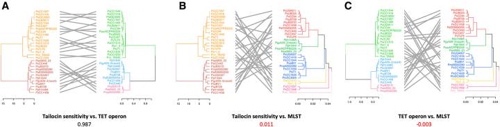 Tanglegram comparison of tailocin sensitivity, TET operon, and core gene MLST phylogenies.